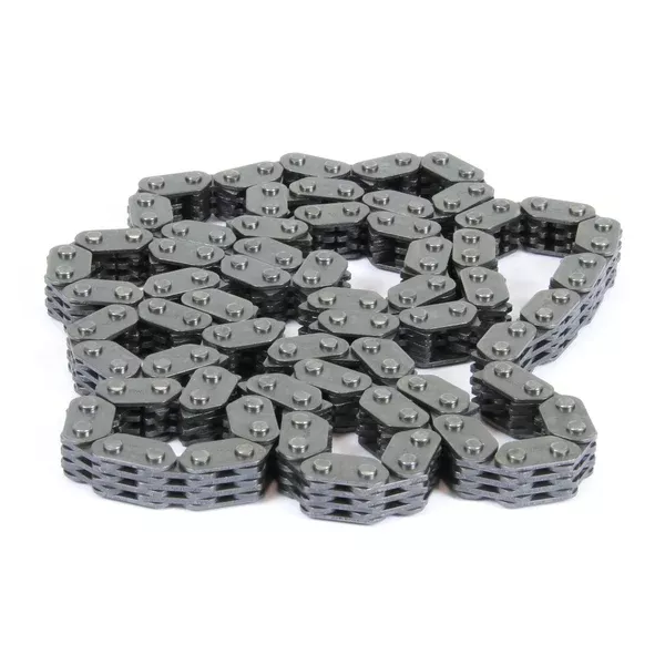 PROX CAM CHAIN 31.2429